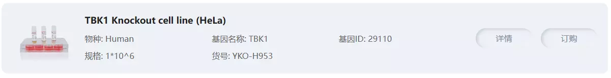 TBK1 Knockout cell line (Hela)