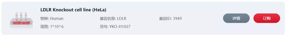 LDLR Knockout cell line (Hela)