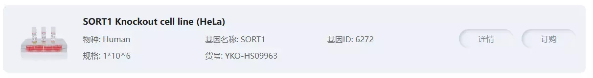 SORT1 Knockout cell line (Hela)