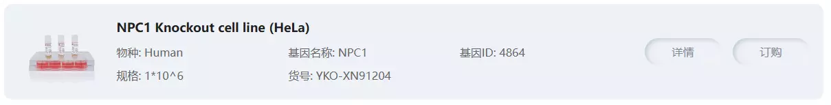 NPC1 Knockout cell line (Hela)