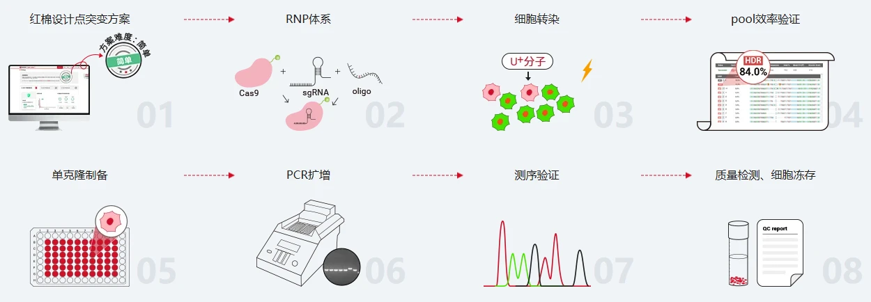 图5. RNP 法操作流程