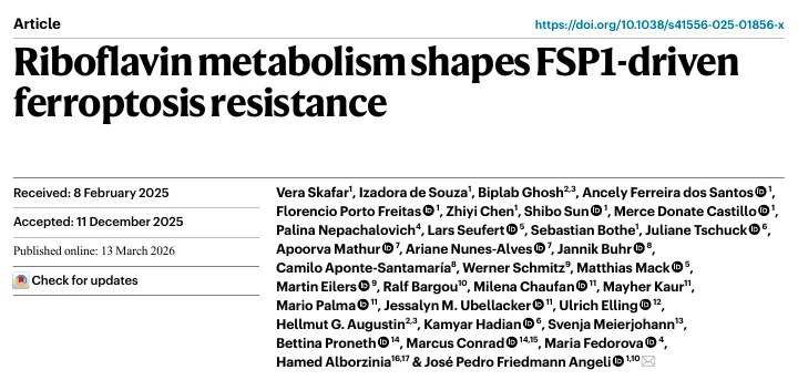 Riboflavin metabolism