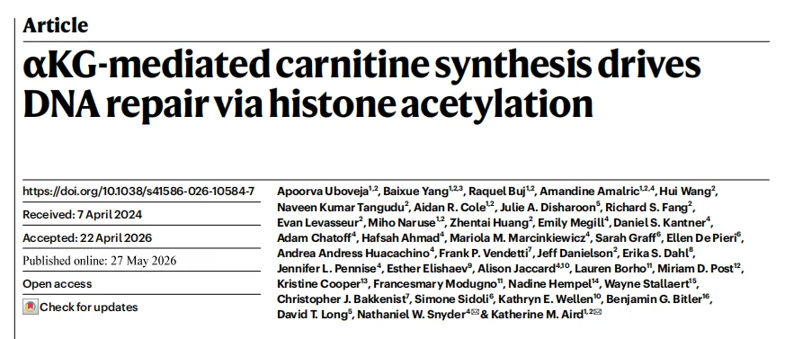Article Title