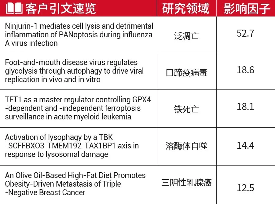 客户引文速览