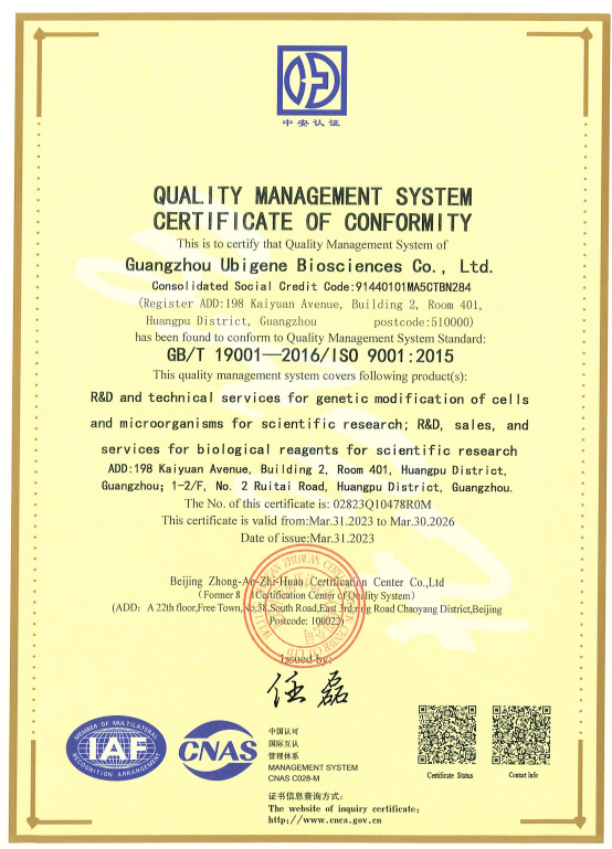 ISO9001质量管理体系认证证书
