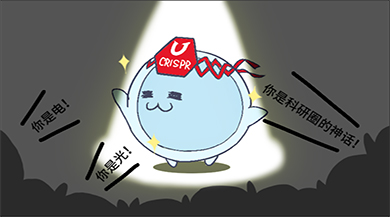 【漫画科普】THP-1细胞“传奇”的一生