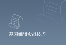 悬浮细胞转染总失败？慢病毒法来救场！