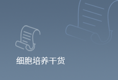 干货丨MC38细胞培养和基因编辑Tips