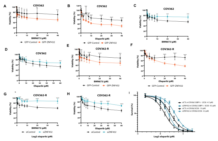 调控ZNF432表达量影响卵巢癌细胞耐药性